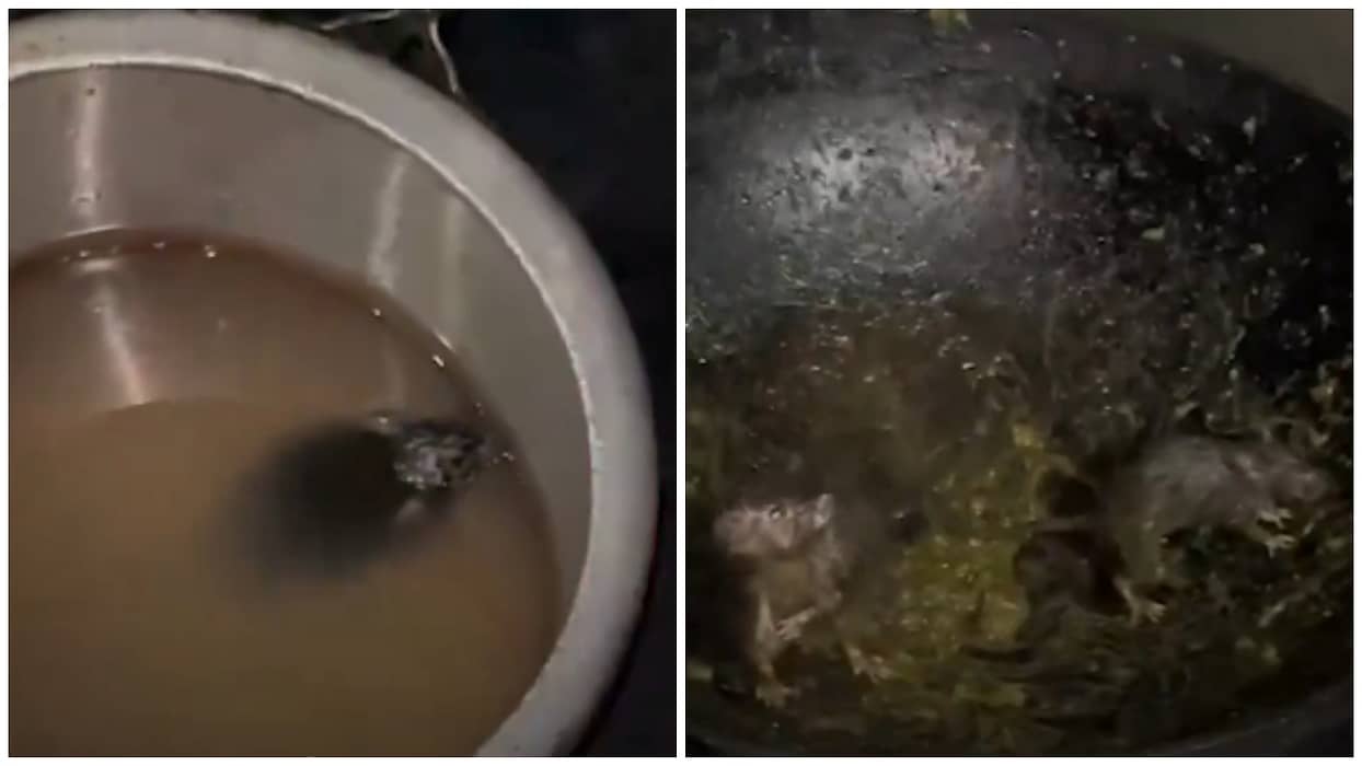 Watch video: Rats roam around in Radha-Krishna Bhawan canteen at IIT Roorkee